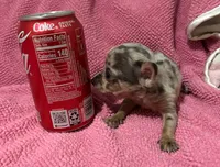 processed/b2551cc7-3462-4416-887b-b66bc56235bb/listing/103966af-73b1-42fe-ba16-01bb2e0c3d48/ea231be3-616f-4c88-978a-85b2079cee1a