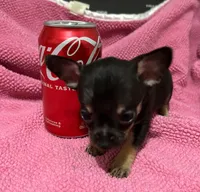 processed/b2551cc7-3462-4416-887b-b66bc56235bb/listing/5caf8662-d567-4001-a587-520ec60c8eb7/635ac124-77dd-46f8-9998-37c48dccb6e6