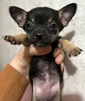 processed/b2551cc7-3462-4416-887b-b66bc56235bb/listing/5caf8662-d567-4001-a587-520ec60c8eb7/9ac3172c-49b5-48a0-a3c8-e5308c2faabf