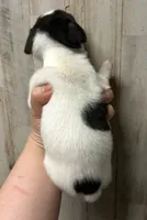 processed/b2551cc7-3462-4416-887b-b66bc56235bb/listing/7b3e2ec2-45fa-4fa5-bc9f-4d779446191c/b3635a00-4cdf-4d08-8dbe-65471d583282