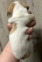 processed/b2551cc7-3462-4416-887b-b66bc56235bb/listing/b21c6760-c659-4508-a1a1-fff52956e8ae/726c7606-487e-45ac-aeae-cfe757960e39