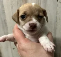 processed/b2551cc7-3462-4416-887b-b66bc56235bb/listing/b21c6760-c659-4508-a1a1-fff52956e8ae/781190d5-554e-468d-a16c-7b2e099dca18