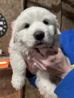 processed/b2551cc7-3462-4416-887b-b66bc56235bb/listing/d6a9a37d-20e8-42ce-b547-1b00b96951a0/1dabcb1e-ffe0-4600-aadd-695737c65d8d