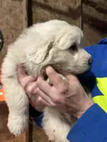 processed/b2551cc7-3462-4416-887b-b66bc56235bb/listing/d6a9a37d-20e8-42ce-b547-1b00b96951a0/75bb6376-a572-4852-b67d-146566860e36