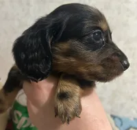 processed/b2551cc7-3462-4416-887b-b66bc56235bb/listing/f52c10f0-9c2b-491a-b612-75c206a01025/a02e630a-7a62-4f31-aa7b-32e2b303bf63