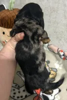 processed/b2551cc7-3462-4416-887b-b66bc56235bb/listing/f52c10f0-9c2b-491a-b612-75c206a01025/b2d585a8-d03f-4e06-b98b-06a872bd8b8c