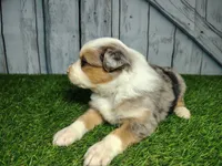 processed/b261adb2-f2d0-4d08-b959-3193222ef0e6/listing/03007033-f9e2-4b48-8e44-5706622eba1a/1b1fbf5c-2bd3-469e-b26b-a0729b39df04