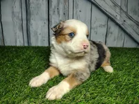 processed/b261adb2-f2d0-4d08-b959-3193222ef0e6/listing/03007033-f9e2-4b48-8e44-5706622eba1a/1f890c5d-56d9-4e9a-b736-6b8f00e1681e