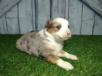 processed/b261adb2-f2d0-4d08-b959-3193222ef0e6/listing/03007033-f9e2-4b48-8e44-5706622eba1a/5d24e0c6-5bb0-43de-897e-be696bf91fba