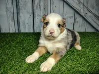 processed/b261adb2-f2d0-4d08-b959-3193222ef0e6/listing/03007033-f9e2-4b48-8e44-5706622eba1a/b06e9123-a9e1-4c73-b786-77c77a121e2e