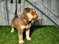 processed/b261adb2-f2d0-4d08-b959-3193222ef0e6/listing/034c8ed3-db30-44cd-b372-a052dfe835e2/f8a4f7ec-0a28-4ca3-8202-30b405476c27