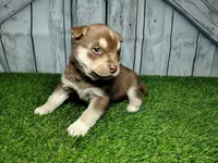 processed/b261adb2-f2d0-4d08-b959-3193222ef0e6/listing/0cbadeba-74da-4d03-923a-bcce346f642c/462ae4fa-0519-43c0-aba6-9affa73b7367