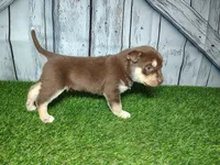 processed/b261adb2-f2d0-4d08-b959-3193222ef0e6/listing/0cbadeba-74da-4d03-923a-bcce346f642c/49f849cf-3c07-4259-8aac-b31b2a504024