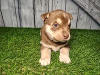 processed/b261adb2-f2d0-4d08-b959-3193222ef0e6/listing/0cbadeba-74da-4d03-923a-bcce346f642c/55522cba-ab56-4f54-b4f2-cf85f1062aa9