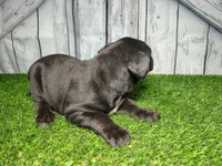 processed/b261adb2-f2d0-4d08-b959-3193222ef0e6/listing/22bc9084-baf2-4806-b967-ccd8f0fb5ba9/a1f1094a-2d04-478d-b08d-2e129ed77840