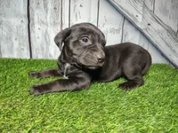 processed/b261adb2-f2d0-4d08-b959-3193222ef0e6/listing/22bc9084-baf2-4806-b967-ccd8f0fb5ba9/ac7f7391-6c09-43e8-8879-0c7015ad82ac