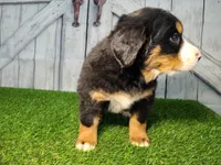 processed/b261adb2-f2d0-4d08-b959-3193222ef0e6/listing/2b82aabb-8769-4731-9f2b-8172614b4f61/7c87c7fd-68bd-45dc-aeba-f16717839257