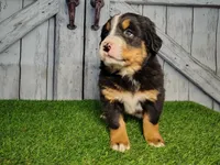 processed/b261adb2-f2d0-4d08-b959-3193222ef0e6/listing/2b82aabb-8769-4731-9f2b-8172614b4f61/fc8dbc26-931c-444b-933a-77a0ad3af73c