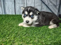 processed/b261adb2-f2d0-4d08-b959-3193222ef0e6/listing/4c44468d-6de6-4688-829f-8173d4696634/0ac264a1-8f50-4e99-8ce4-b49d20a54ec2