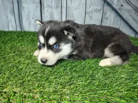 processed/b261adb2-f2d0-4d08-b959-3193222ef0e6/listing/4c44468d-6de6-4688-829f-8173d4696634/b310b1ed-4bab-4f61-bc1f-59aceef0c508