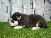 processed/b261adb2-f2d0-4d08-b959-3193222ef0e6/listing/4c44468d-6de6-4688-829f-8173d4696634/e791b007-fc07-4647-8f02-addb15b31ee7