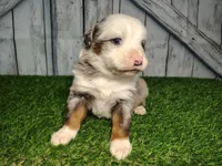 processed/b261adb2-f2d0-4d08-b959-3193222ef0e6/listing/516be093-24d5-4451-a7bd-1e91debca292/0a7c2214-a3ce-437d-8e7d-61247524624a