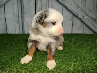 processed/b261adb2-f2d0-4d08-b959-3193222ef0e6/listing/516be093-24d5-4451-a7bd-1e91debca292/2be135c7-7659-44d5-88dd-0693bcedbc54