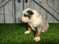 processed/b261adb2-f2d0-4d08-b959-3193222ef0e6/listing/516be093-24d5-4451-a7bd-1e91debca292/3a8eb8c5-fc89-48f7-8e4a-8b21ca5a7ea7