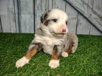 processed/b261adb2-f2d0-4d08-b959-3193222ef0e6/listing/516be093-24d5-4451-a7bd-1e91debca292/7eaf453f-4c19-4724-8654-c0dde9bb8253