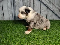 processed/b261adb2-f2d0-4d08-b959-3193222ef0e6/listing/516be093-24d5-4451-a7bd-1e91debca292/c519ac78-7560-4dd0-8a84-912853172ce0