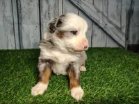 processed/b261adb2-f2d0-4d08-b959-3193222ef0e6/listing/516be093-24d5-4451-a7bd-1e91debca292/e3b5bcfd-df69-4db9-9ada-22abaa8a52e3