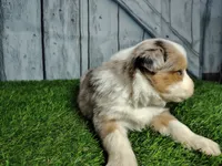 processed/b261adb2-f2d0-4d08-b959-3193222ef0e6/listing/54b291c4-1929-4211-92fb-edbc5693b24c/1dc73d1c-8e04-4731-90d5-1f83d7015906