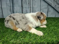 processed/b261adb2-f2d0-4d08-b959-3193222ef0e6/listing/54b291c4-1929-4211-92fb-edbc5693b24c/7e708641-24f7-4737-a641-37bad7da6a19