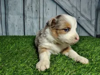 processed/b261adb2-f2d0-4d08-b959-3193222ef0e6/listing/54b291c4-1929-4211-92fb-edbc5693b24c/7f45f065-bad9-4762-a163-97bb520b2b7e