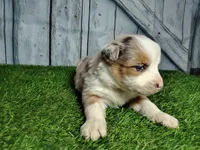 processed/b261adb2-f2d0-4d08-b959-3193222ef0e6/listing/54b291c4-1929-4211-92fb-edbc5693b24c/989b63c6-17ef-46cb-9bec-bbd96f911938