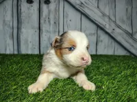 processed/b261adb2-f2d0-4d08-b959-3193222ef0e6/listing/54b291c4-1929-4211-92fb-edbc5693b24c/c26ff887-7361-4692-a101-6e5699b9c5e8