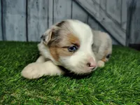 processed/b261adb2-f2d0-4d08-b959-3193222ef0e6/listing/54b291c4-1929-4211-92fb-edbc5693b24c/ee40087b-5e14-4e05-9a7a-df5c56e8f68f