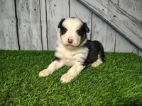 processed/b261adb2-f2d0-4d08-b959-3193222ef0e6/listing/5ef029ba-d727-43fa-931e-0f2da16b20be/c8450dce-9597-4684-84cb-887e7da60cd0