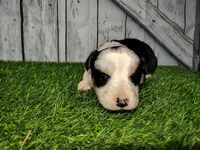 processed/b261adb2-f2d0-4d08-b959-3193222ef0e6/listing/5ef029ba-d727-43fa-931e-0f2da16b20be/dea65a14-5976-4f96-8ba6-37382434fb41