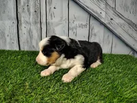 processed/b261adb2-f2d0-4d08-b959-3193222ef0e6/listing/5ef029ba-d727-43fa-931e-0f2da16b20be/e84962ae-754e-4545-85a8-39d6ed68fbaf