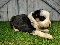 processed/b261adb2-f2d0-4d08-b959-3193222ef0e6/listing/5ef029ba-d727-43fa-931e-0f2da16b20be/ed1e63bd-99ca-42d5-9909-16b1f80166cb