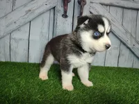 processed/b261adb2-f2d0-4d08-b959-3193222ef0e6/listing/658bd773-960d-4d64-b29a-08bfcbf1b488/1402ac65-1727-4028-b30c-9e40c0c4f461