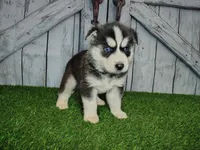 processed/b261adb2-f2d0-4d08-b959-3193222ef0e6/listing/658bd773-960d-4d64-b29a-08bfcbf1b488/ff14202f-1441-4f82-8ee1-04fbe87c61ac