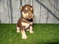 processed/b261adb2-f2d0-4d08-b959-3193222ef0e6/listing/9a3422e2-89e5-4583-97de-9061506f642b/9eeb83d4-4df4-46a7-a2ba-6e94b0a92e4c