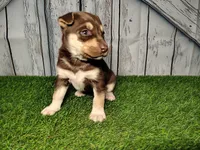 processed/b261adb2-f2d0-4d08-b959-3193222ef0e6/listing/9a3422e2-89e5-4583-97de-9061506f642b/9f5e282c-2c3d-4c40-9cbb-f4002f74ef4a