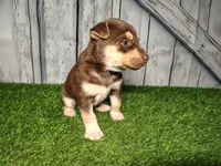 processed/b261adb2-f2d0-4d08-b959-3193222ef0e6/listing/9a3422e2-89e5-4583-97de-9061506f642b/a8354e42-f935-475b-a822-5c2b286640b2