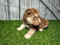 processed/b261adb2-f2d0-4d08-b959-3193222ef0e6/listing/b384b773-1eba-4fcc-8a6b-9e1ec3773c66/0af108c6-b8aa-4a3d-97b2-1ecbba35b1cd