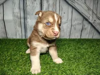 processed/b261adb2-f2d0-4d08-b959-3193222ef0e6/listing/b384b773-1eba-4fcc-8a6b-9e1ec3773c66/a47f5edd-56e6-44ca-a7f8-a81be1f17c94