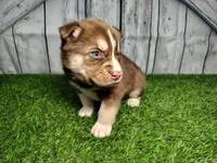 processed/b261adb2-f2d0-4d08-b959-3193222ef0e6/listing/b384b773-1eba-4fcc-8a6b-9e1ec3773c66/cf4fc285-bfc5-4b86-b2c5-4c753914a4ff