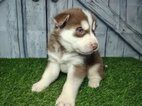 processed/b261adb2-f2d0-4d08-b959-3193222ef0e6/listing/d670f189-45d5-491e-9a85-64cbd6baf041/0718638c-dc4e-40b5-b012-fe63a4003832